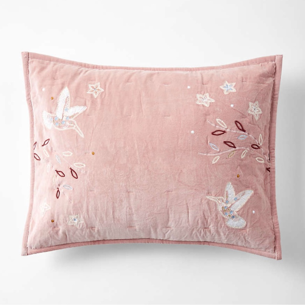 Heirloom Embroidered Organic Cotton Velvet Kids Pillow Sham by Jeremiah Brent
